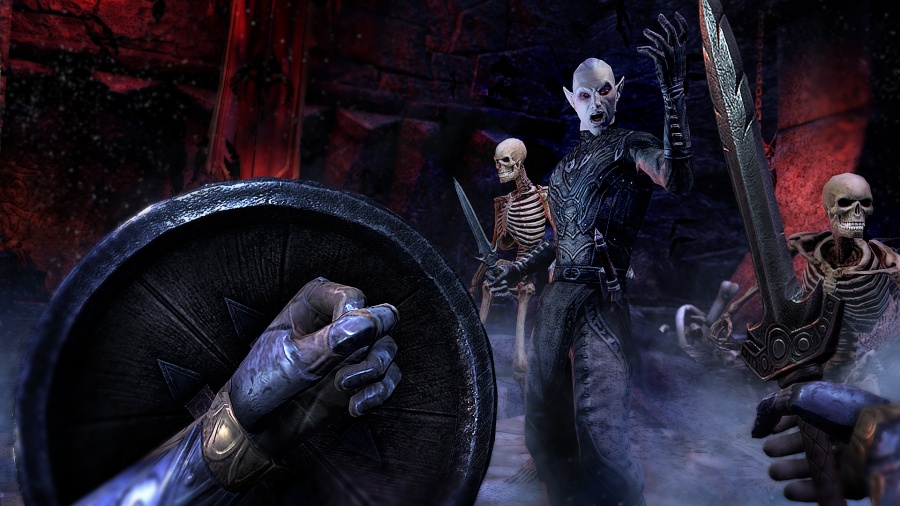 The Elder Scrolls Online: Tamriel Unlimited Review - Screenshot 11 of 11