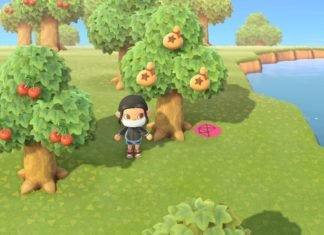 Cómo cultivar árboles de dinero en Animal Crossing: Nuevos Horizontes