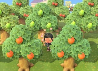 Animal Crossing: Guía del árbol New Horizons