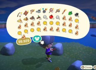 Guía de Animal Crossing New Horizons: Cómo aumentar el espacio de inventario