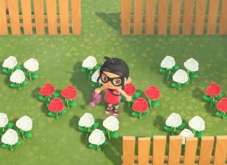 Animal Crossing: Guía de flores e híbridos de New Horizons