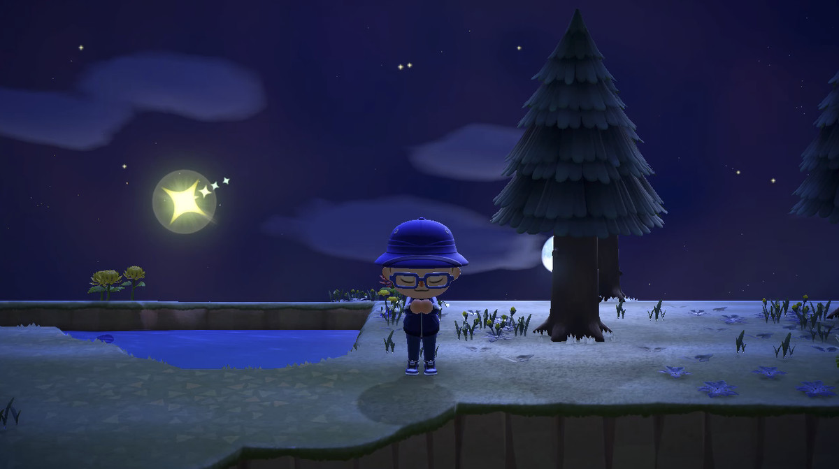 Wishing on a shooting star in Animal Crossing: New Horizons