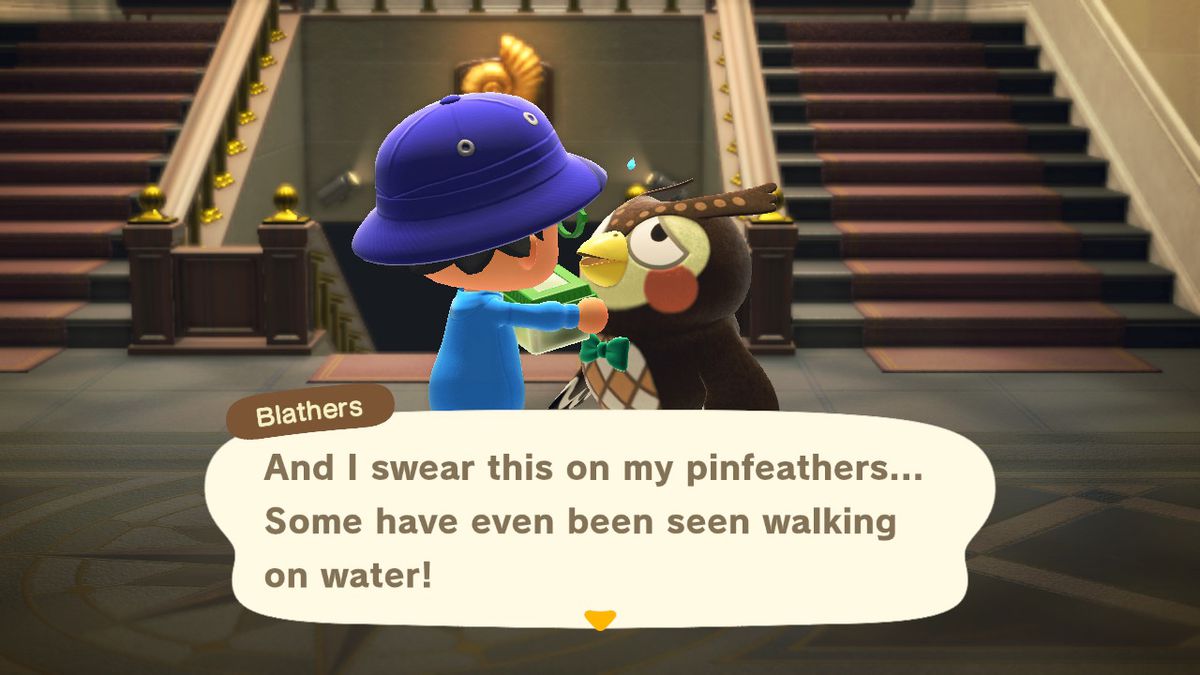 Blathers talks about bugs in Animal Crossing: New Horizons