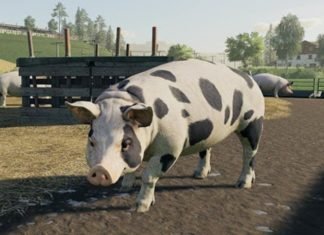 Los miembros de PS Plus lanzan una petición contra los juegos PS4 de mayo de 2020.