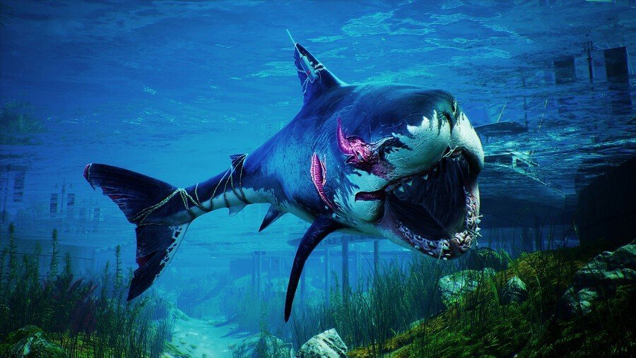 Maneater Guide 1