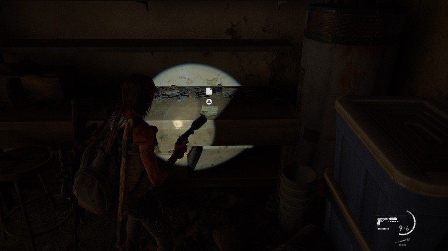 The Last Of Us 2 Pushing Inland Collectibles Guide Artefact 2