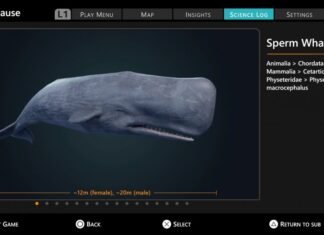 Revisión más allá del azul – Un simulacro de exploración del océano con una cantidad sorprendente debajo de la superficie