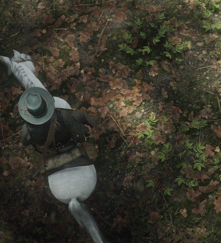 Red Dead Redemption 2 Dinosaur Bones Locations Guide 16