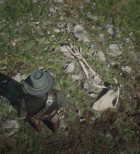 Red Dead Redemption 2 Dinosaur Bones Locations Guide 1Red Dead Redemption 2 Dinosaur Bones Locations Guide 12