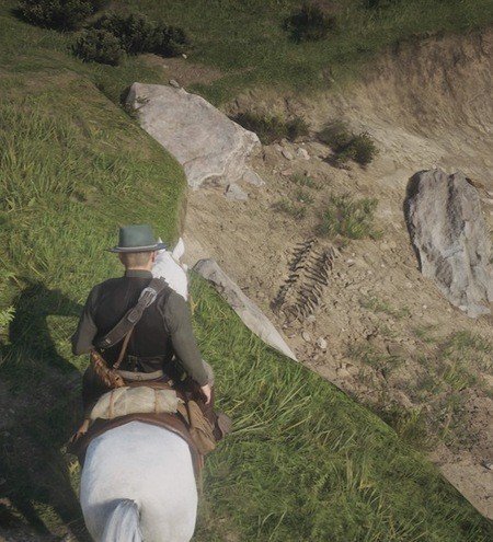 Red Dead Redemption 2 Dinosaur Bones Locations Guide 4