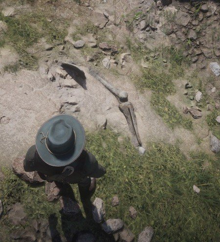 Red Dead Redemption 2 Dinosaur Bones Locations Guide 8