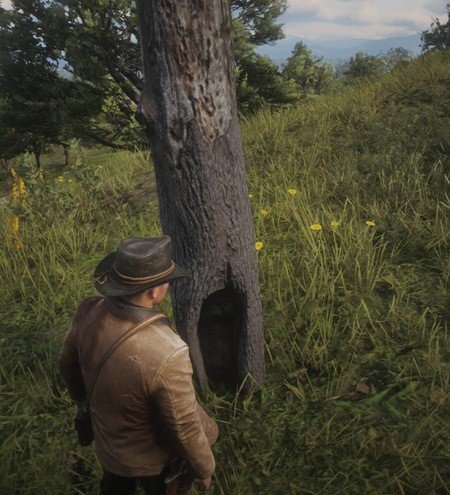 Red Dead Redemption 2 Poisonous Trail Treasure Map Locations 4