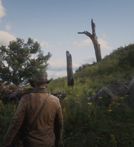 Red Dead Redemption 2 Poisonous Trail Treasure Map Locations 5