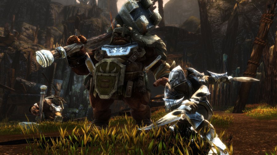Kingdoms of Amalur: Re-Reckoning Review - Screenshot 1 of 4