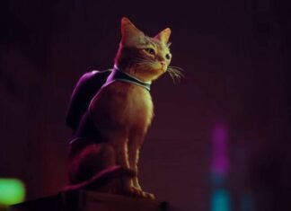 Stray de PS5 comparte una nueva historia y detalles del juego